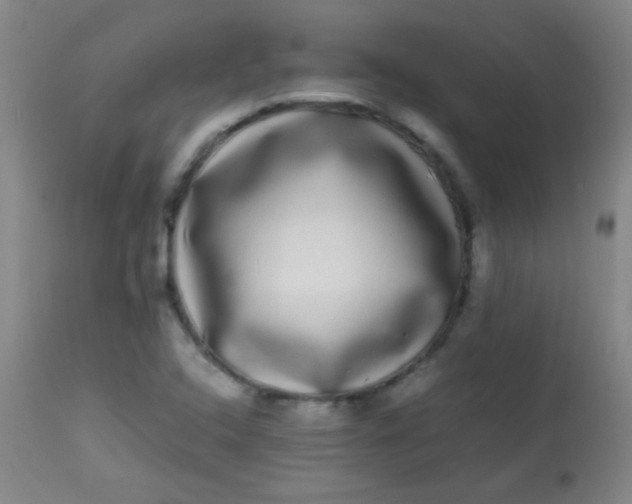 X0000113621408200910091520