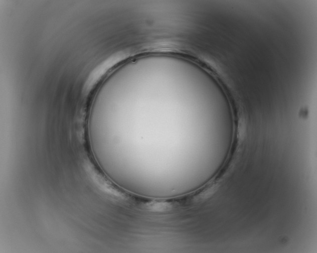 X0000113621410200910091520