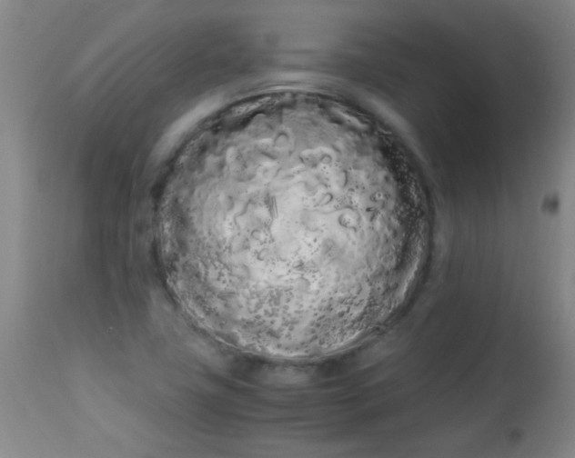 X0000113621411200910091520