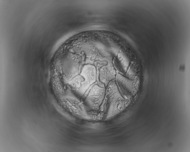 X0000113621413200910091520