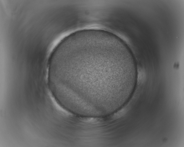 X0000113621414200910091520