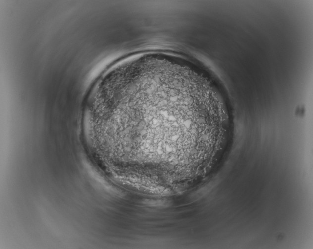 X0000113621415200910091520