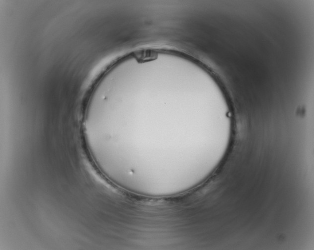 X0000113621416200910091520