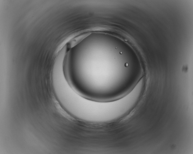 X0000113621417200910091520