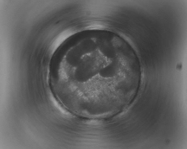 X0000113621418200910091520