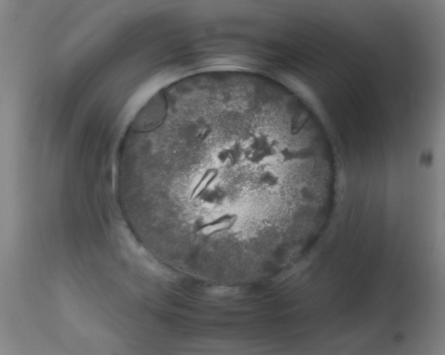 X0000113621419200910091520