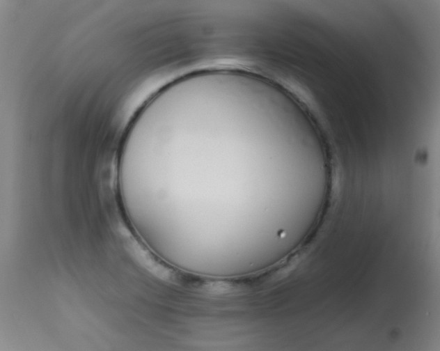 X0000113621420200910091520