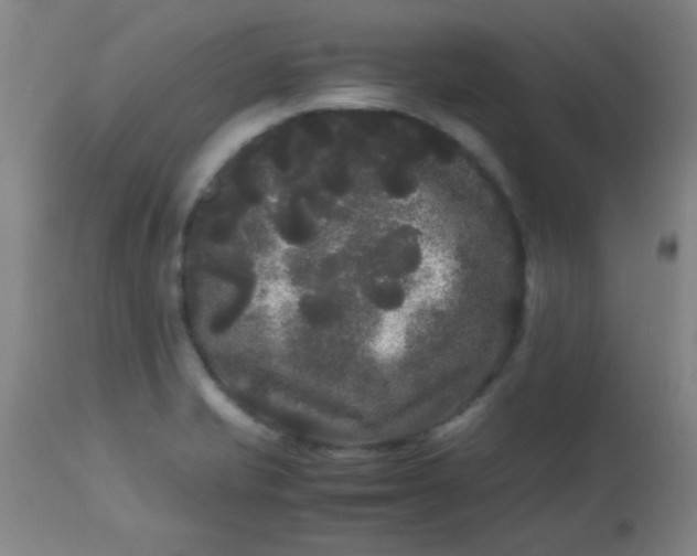 X0000113621421200910091520