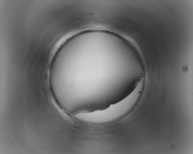 X0000113621424200910091520