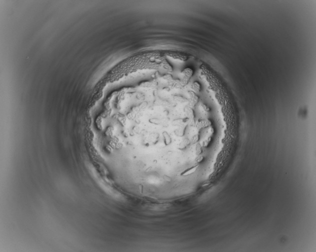 X0000113621425200910091520