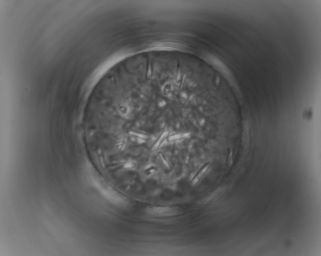 X0000113621427200910091520