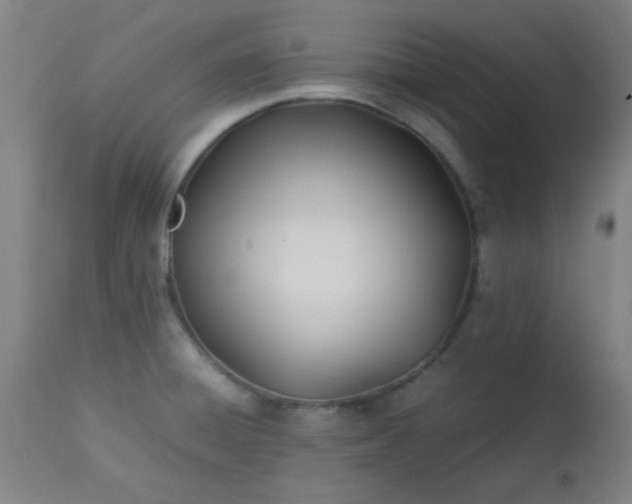 X0000113621428200910091520