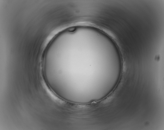 X0000113621430200910091520