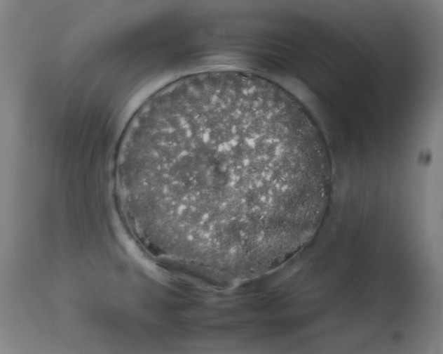 X0000113621431200910091520