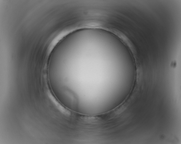 X0000113621432200910091520