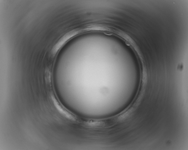 X0000113621433200910091520