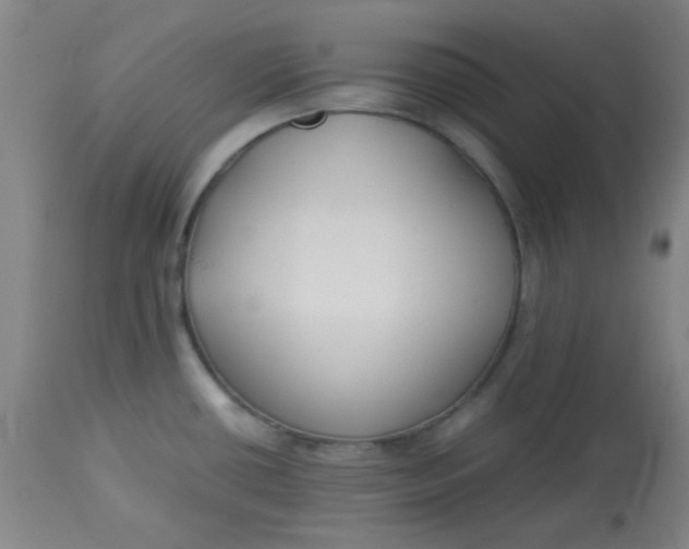 X0000113621434200910091520