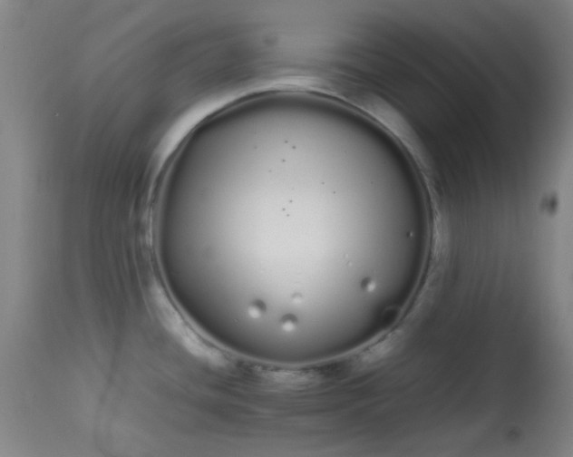 X0000113621436200910091520