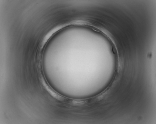 X0000113621437200910091520