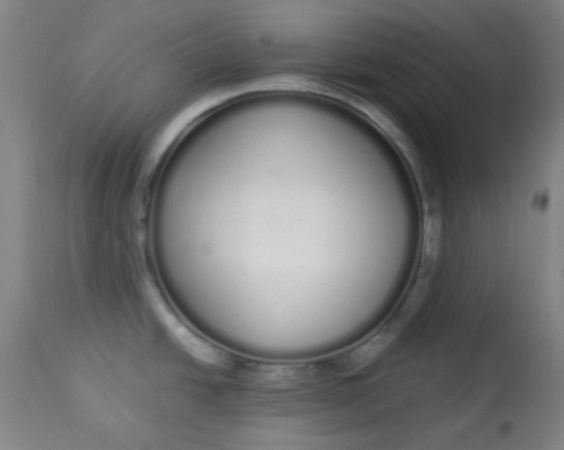 X0000113621438200910091520