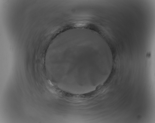 X0000113621441200910091520