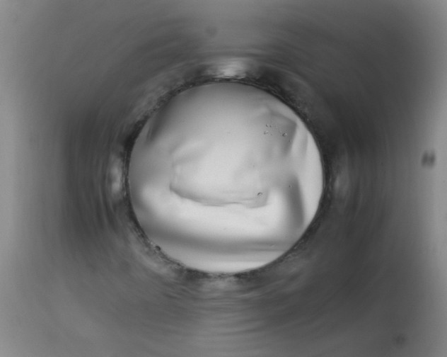 X0000113621442200910091520