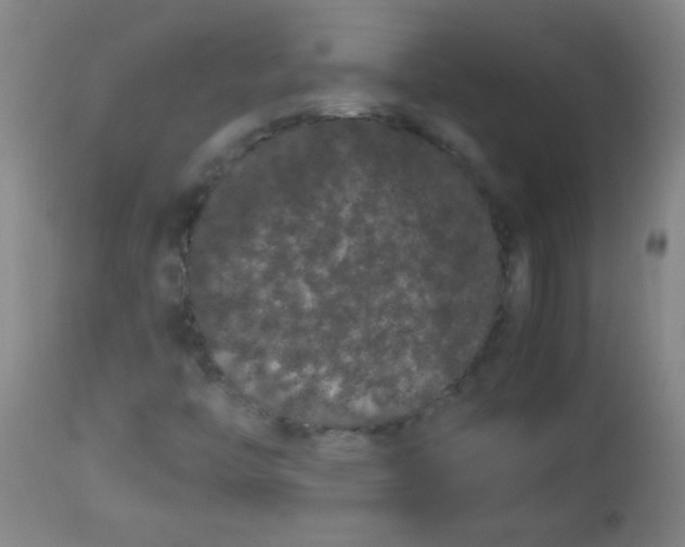 X0000113621446200910091520