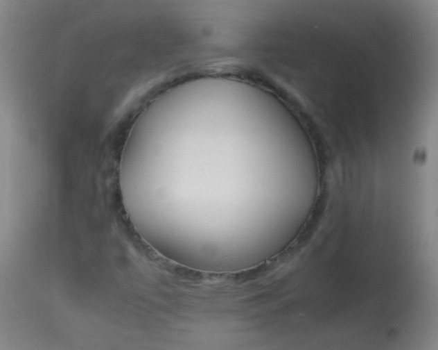 X0000113621447200910091520