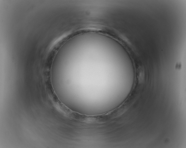 X0000113621448200910091520