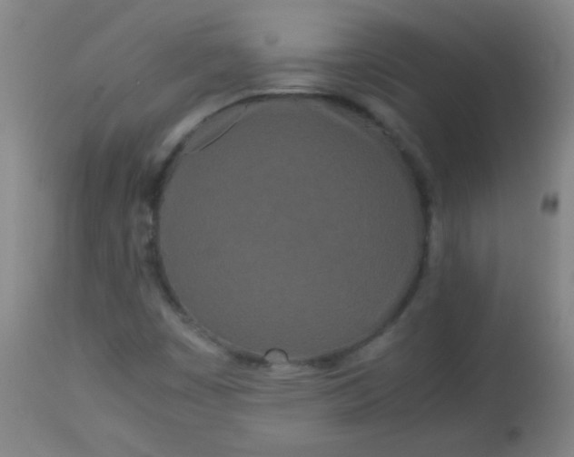 X0000113621449200910091520