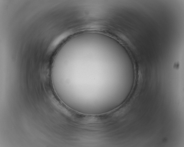 X0000113621450200910091520