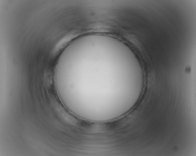 X0000113621451200910091520