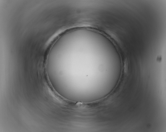 X0000113621452200910091520