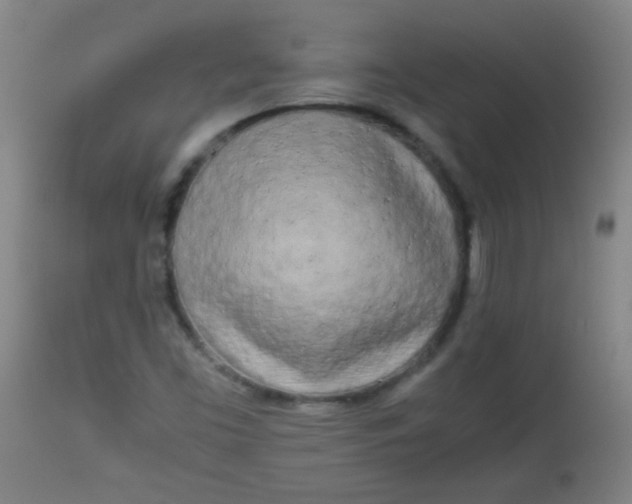 X0000113621453200910091520