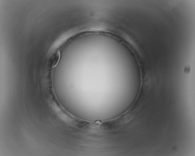 X0000113621456200910091520