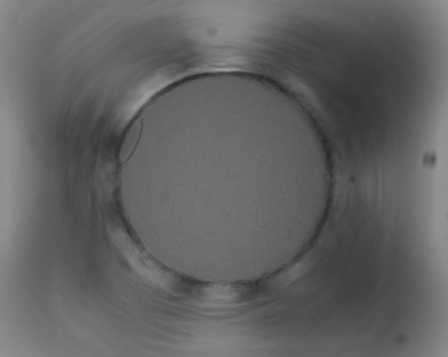 X0000113621457200910091520