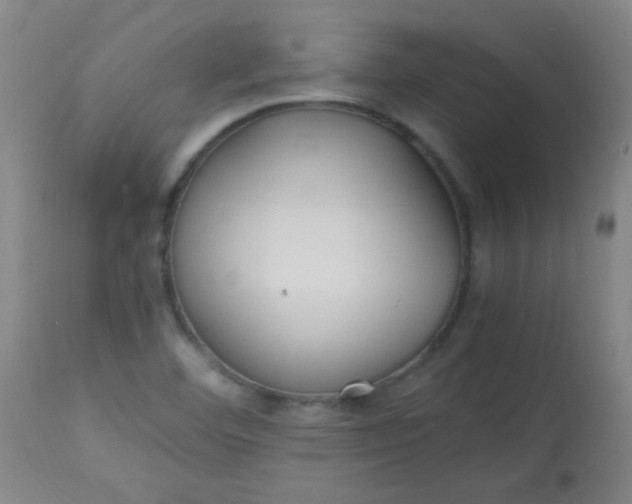 X0000113621460200910091519