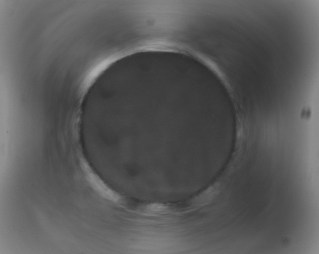 X0000113621463200910091519