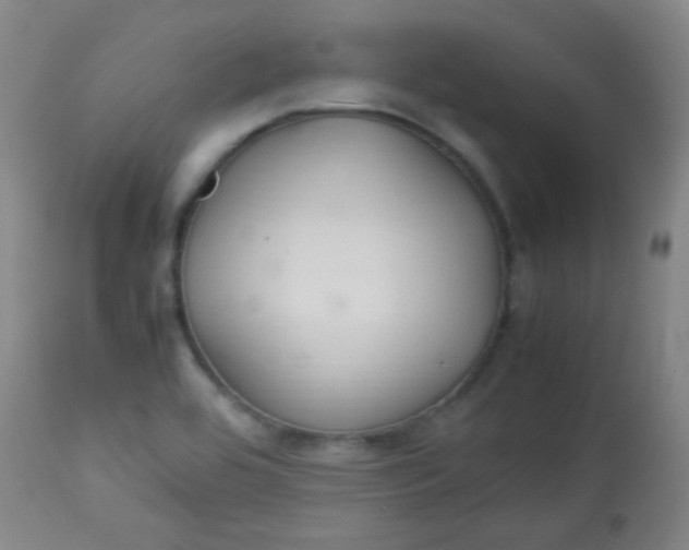 X0000113621464200910091519