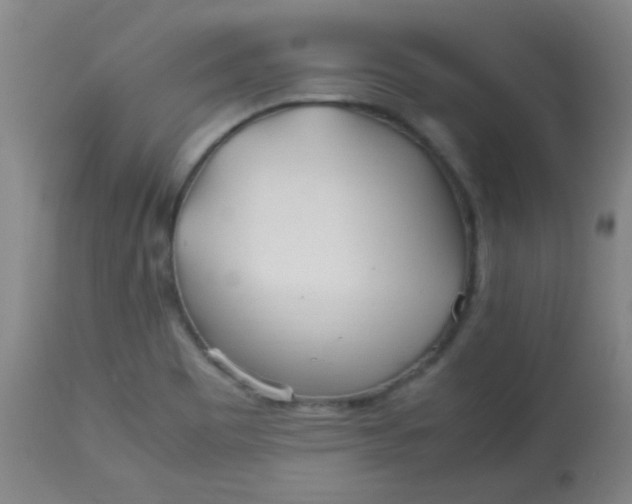 X0000113621465200910091519