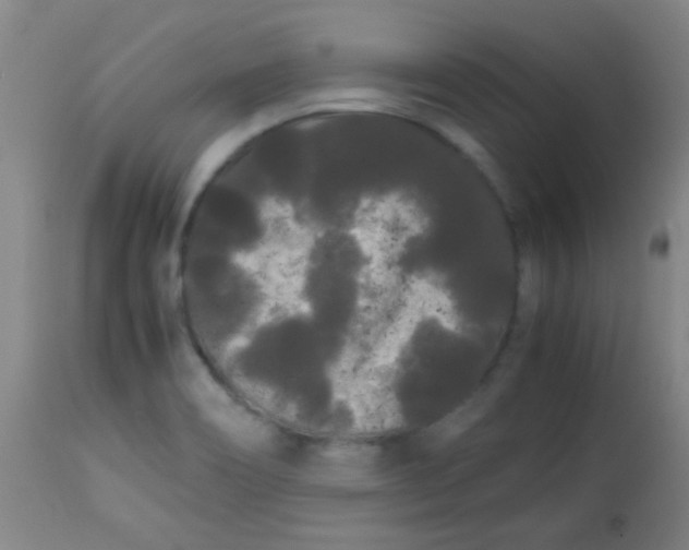 X0000113621466200910091519