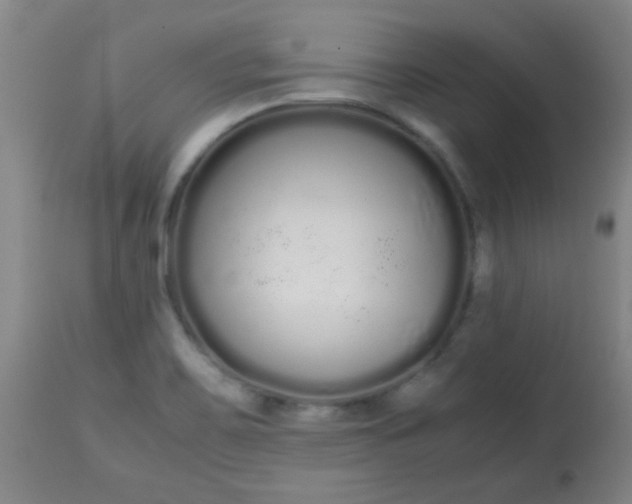 X0000113621467200910091519