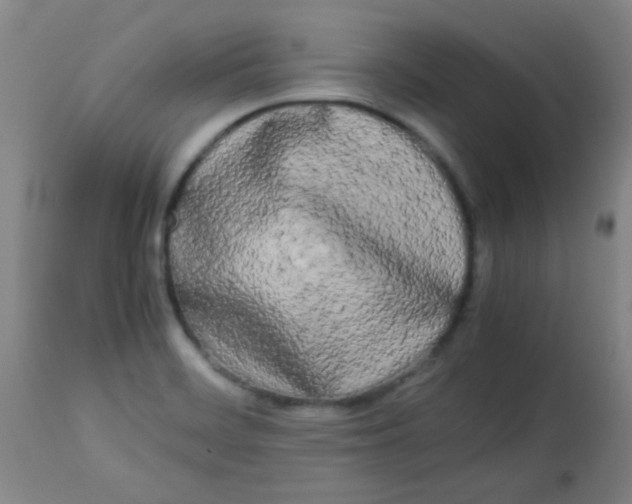 X0000113621468200910091519