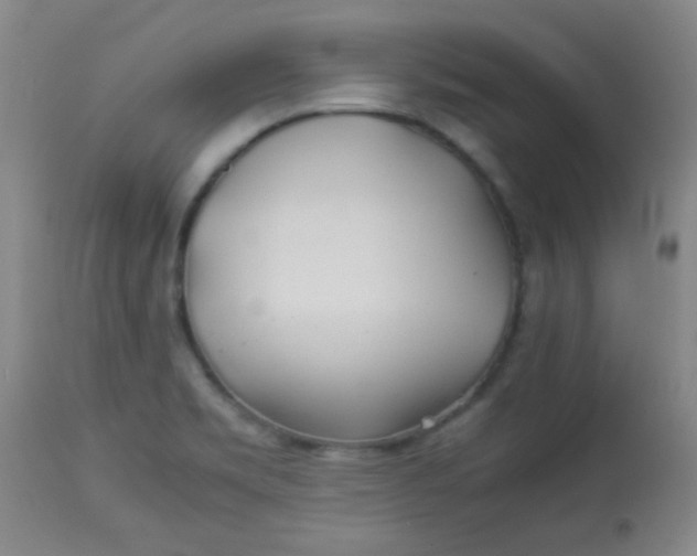 X0000113621469200910091519