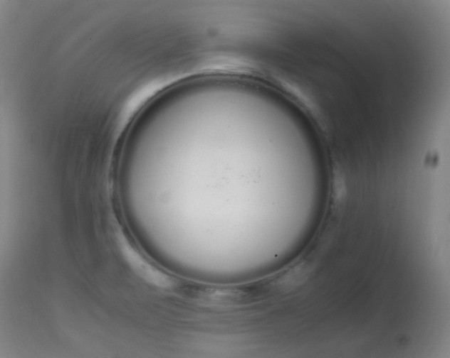 X0000113621471200910091519