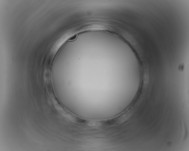 X0000113621473200910091519