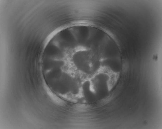 X0000113621474200910091519