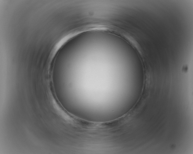 X0000113621475200910091519