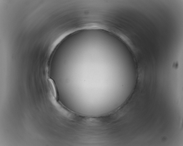 X0000113621476200910091519