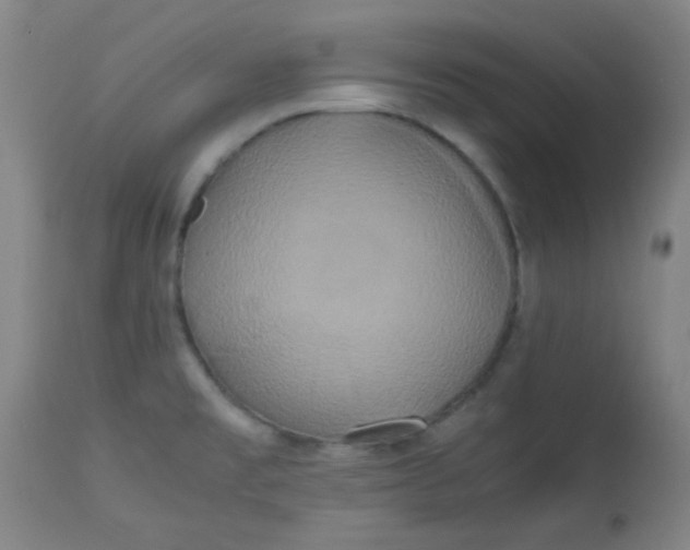 X0000113621477200910091519